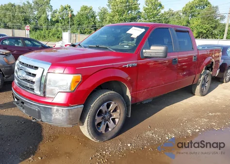 2009 Ford F150 Xl/Xlt z USA, uszkodzony, nr VIN 1FTRW14849FB40462